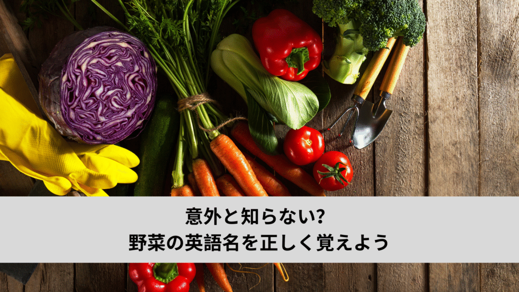 意外と知らない？野菜の英語名を正しく覚えよう | Focus Education