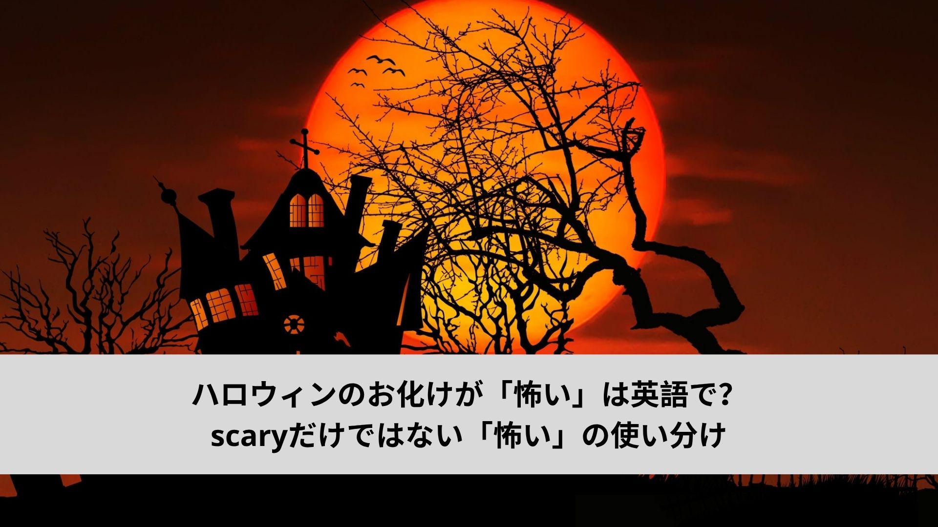 ハロウィンのお化けが「怖い」は英語で？scaryだけではない「怖い」の使い分け